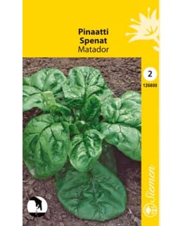 Pinaatti Matador siemen Main Image