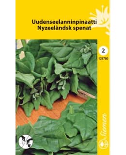 FI:PINAATTI UUDEN SEELANNIN Main Image
