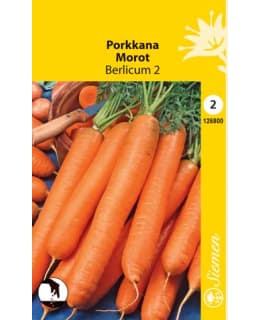 PORKKANA BERLICUM 2 SIEMEN Main Image