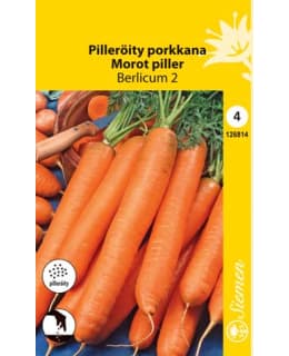 PORKKANA PILLERÖITY BERLICUM 2 SIEMEN Main Image