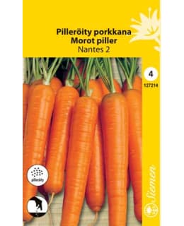 FI:PORKKANA NANTES6 FANCY PILLER. Main Image