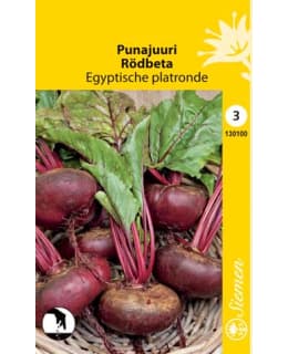 PUNAJUURI EGYPTILÄINEN SIEMEN Main Image