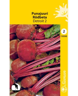 PUNAJUURI DETROIT 2 SIEMEN Main Image