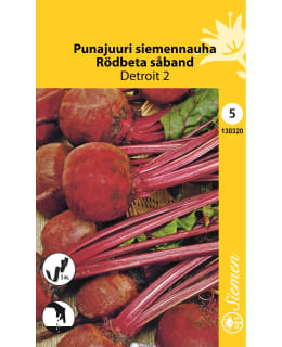 SIEMENNAUHA PUNAJUURIKAS DETROIT Main Image