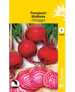 FI:PUNAJUURI CHIOGGIA Main Image