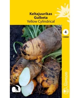 KELTAJUURIKAS YELLOW CYLINDRICAL SIEMEN Main Image