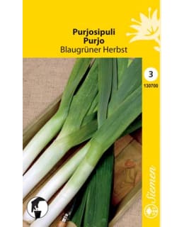 PURJO BLAUGRÜNER HERBST SIEMEN Main Image