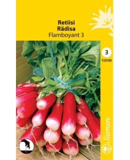 FI:RETIISI FLAMBOYANT Main Image