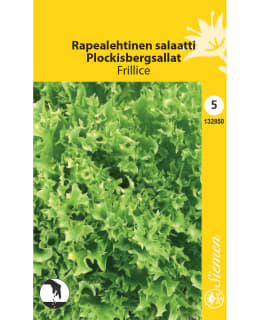 LETTUCE FRILLICE Main Image