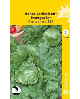 KERÄSALAATTI GREAT LAKES SIEMEN Main Image
