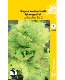 RAPEA KERÄSALAATTI LAIBACHER EIS  SIEMEN Main Image