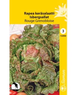 RAPEA KERÄSALAATTI RED ICEBERG Main Image