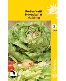 FI:KERÄSALAATTI KEVÄTKUNINGAS Main Image
