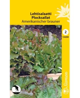 LEHTISALAATTI AMERIKAN BRAUNER  SIEMEN Main Image