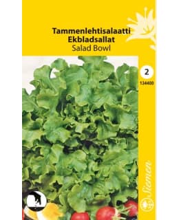FI:LEHTISALAATTI SALAD BOWL Main Image