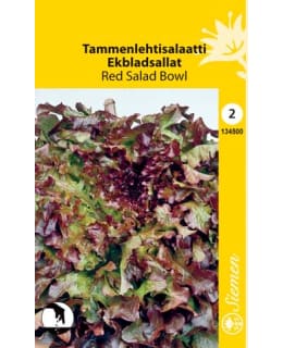 FI:LEHTISALAATTI RED SALAD BOWL Main Image