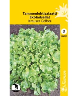 FI:LEHTISALAATTI KRAUSER GELBER Main Image