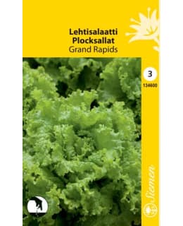 LEHTISALAATTI GRAND RAPIDS SIEMEN Main Image