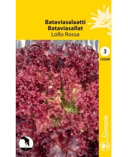 FI:BATAVIASALAATTI LOLLO ROSSA Main Image