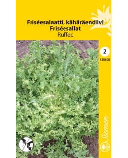 FRISÉE-SALAATTI RUFFEC/DE MEAUX SIEMEN Main Image