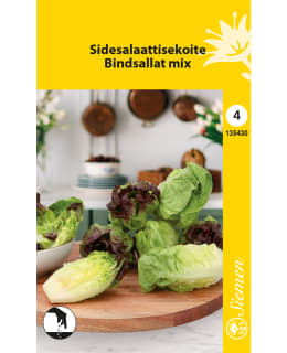 SIDESALAATTISEKOITE SIEMEN Main Image