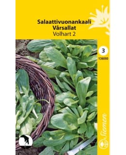 FI:VUONANKAALI DARK GREEN FULL HEARTED Main Image