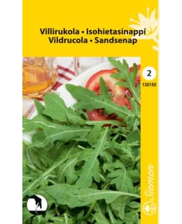 VILLI RUCOLA-SALAATTI RUCOLA SELVATICA Main Image