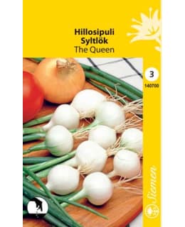 HILLOSIPULI THE QUEEN SIEMEN Main Image