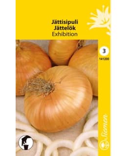 JÄTTISIPULI EXHIBITION SIEMEN Main Image
