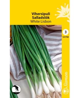 VIHERSIPULI "WHITE LISBON"SIEMEN Main Image