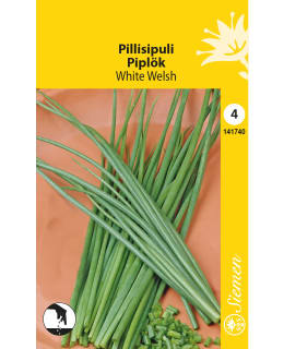 PILLISIPULI  WHITE WELSH SIEMEN Main Image