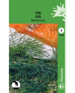 TILLI MAMMUT SIEMEN Main Image