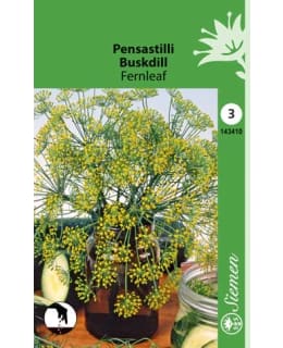 FI:TILLI FERNLEAF Main Image