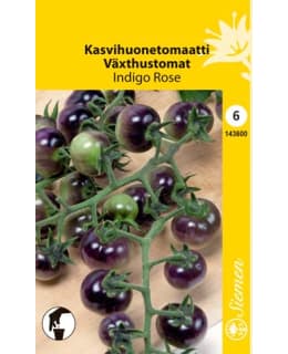 KASVIHUONETOMAATTI  INDIGO ROSE SIEMEN Main Image
