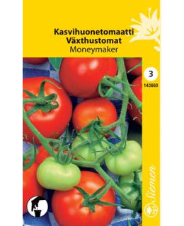 KASVIHUONETOMAATTI MONEYMAKER SIEMEN Main Image