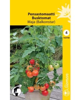 PENSASTOMAATTI MAJA BALKONSTAR SIEMEN Main Image