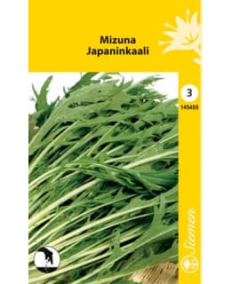 FI:MIZUNA JAPANINKAALI Main Image