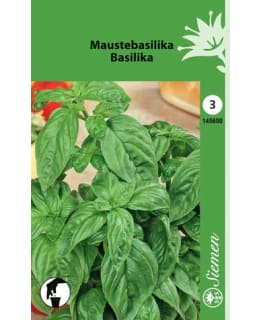 BASILIKA 1-VUOT. SIEMEN Main Image