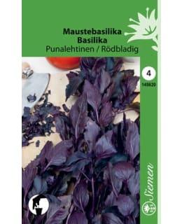 Basilika punalehtinen siemen Main Image