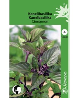 KANELIBASILIKA SIEMEN Main Image