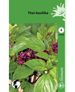 MAUSTEBASILIKA THAI-BASILIKA SIEMEN Main Image