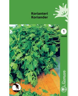 KORIANTERI 1-VUOT. SIEMEN Main Image