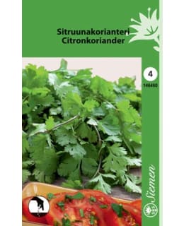 SITRUUNAKORIANTERI SIEMEN Main Image