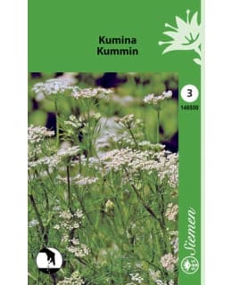 FI:KUMINA Main Image