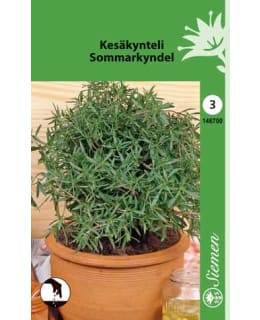 KYNTELI SIEMEN Main Image