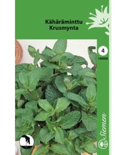 FI:KÄHÄRÄMINTTU Main Image