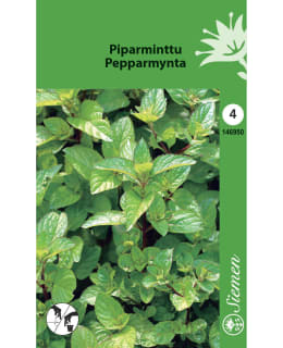 PIPARMINTTU SIEMEN Main Image