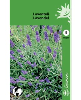 Laventeli siemen Main Image
