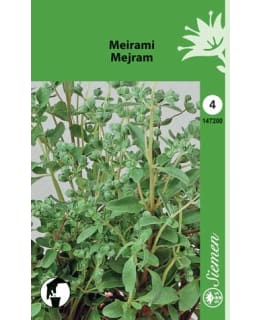 MEIRAMI SIEMEN Main Image