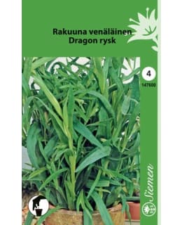 FI:RAKUUNA VENÄLÄINEN Main Image